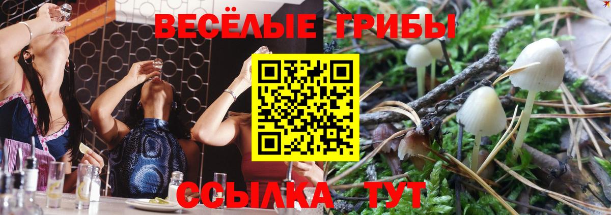 Псилоцибиновые грибы прущие грибы  Вход с VPN  Котлас  Галлюциногенные грибы Psilocybe 